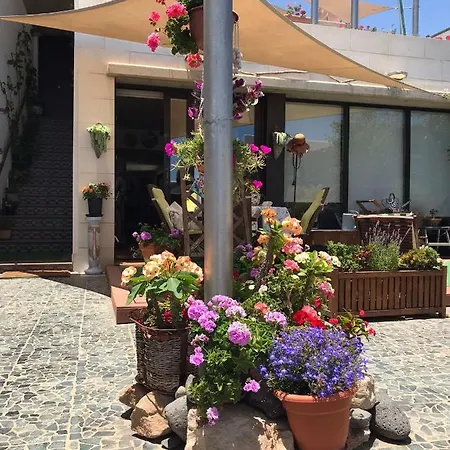 Appartamento Con Encanto En La Playa Frente Al Mar 